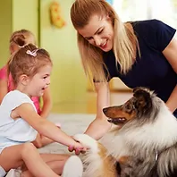 Therapy Dogs In Schools Adobestock 278494224 1498x